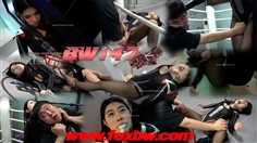 【FoxBW】BW—147