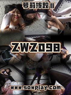 【SowPlay】Z098-fuyao VS mini